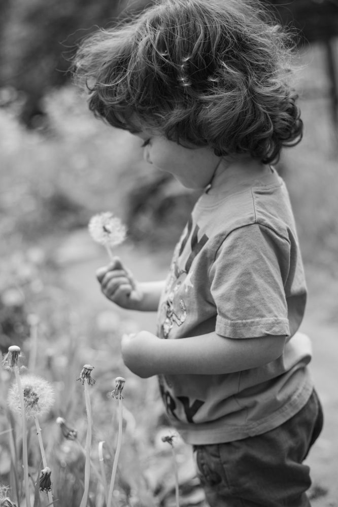 Photograph by Ольга Станкова