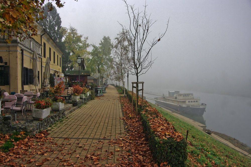 Photograph by Davor Cevizovic