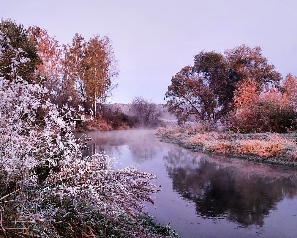 Сиреневое утро