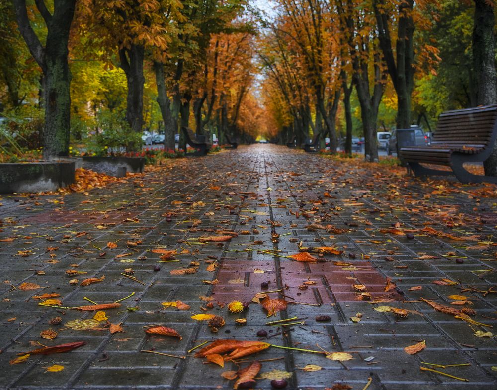 Photograph by Светлана Кравченко