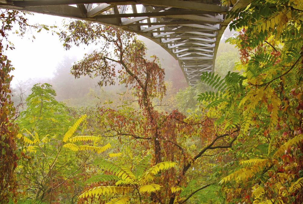 Photograph by Светлана Кравченко