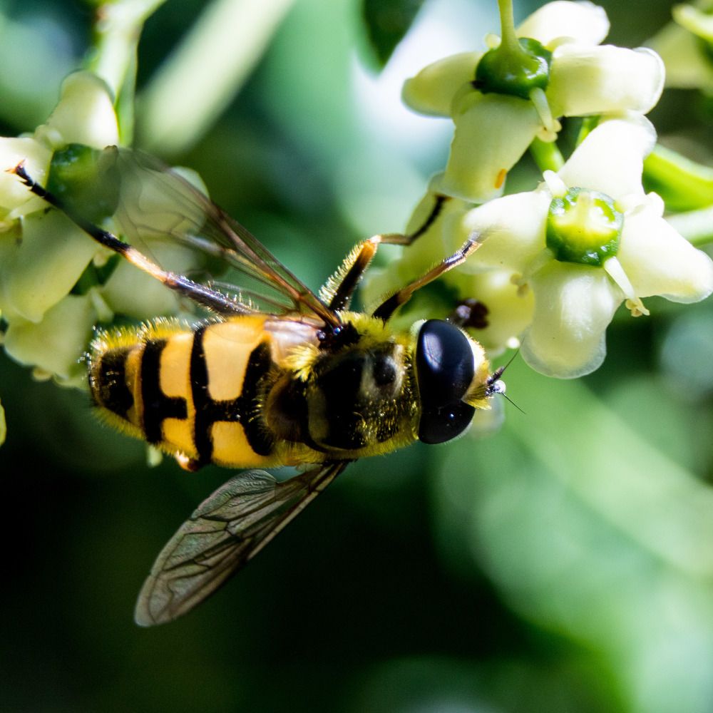Photograph by Олег Башкуров