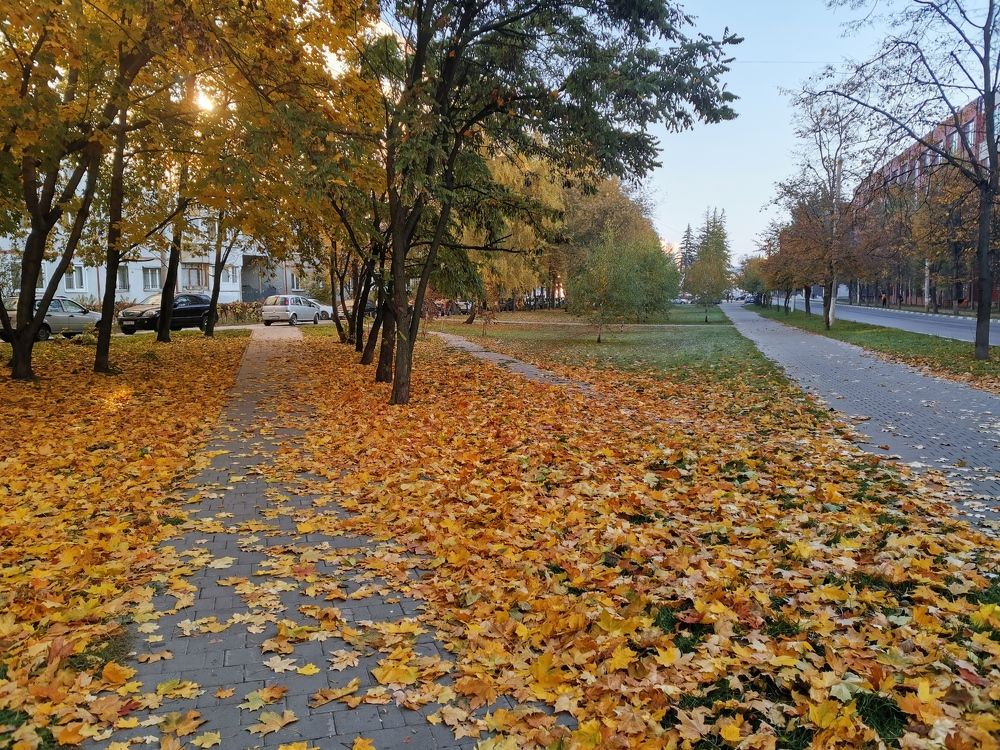 Photograph by Светлана Денисова