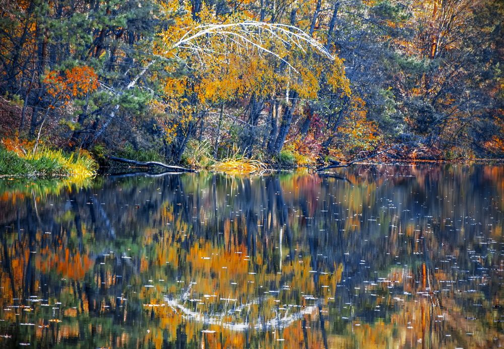 Photograph by Светлана Кравченко