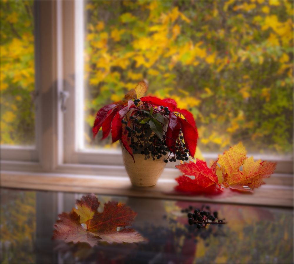 Photograph by Liudmila Drake