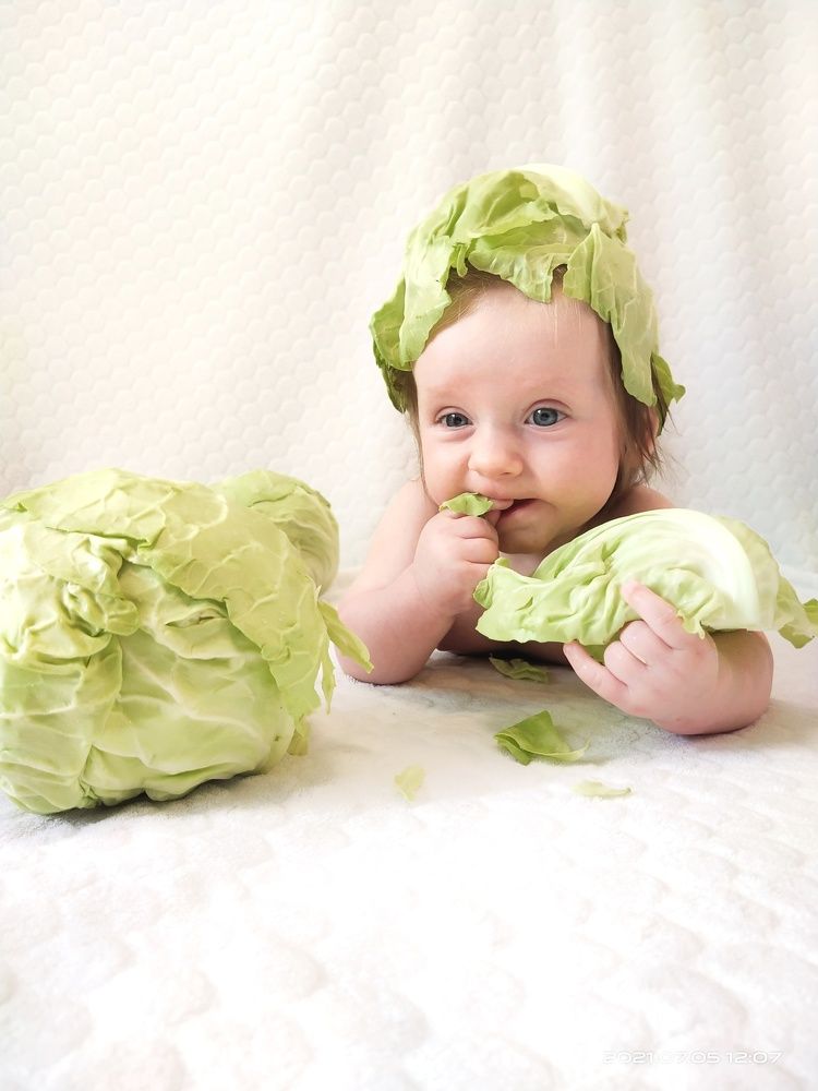 Photo #6574790