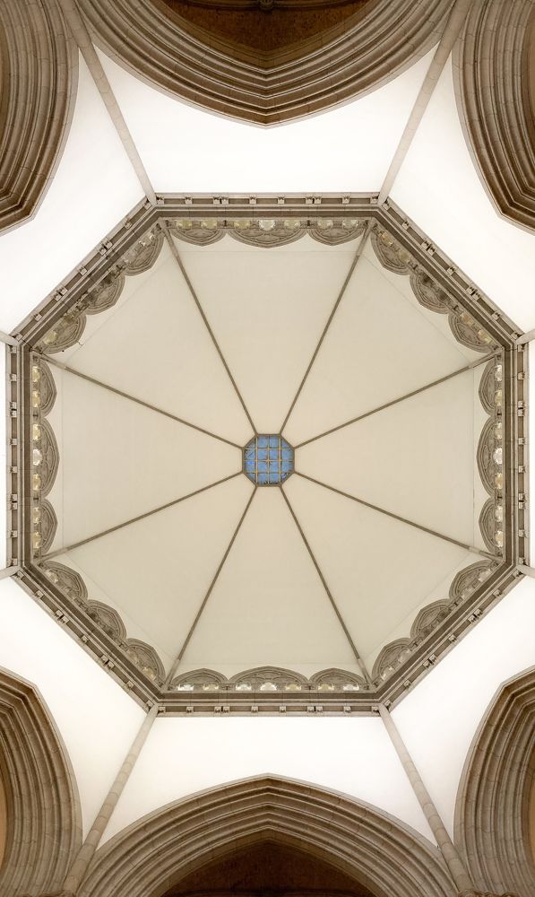 Photograph by Jean Cursino