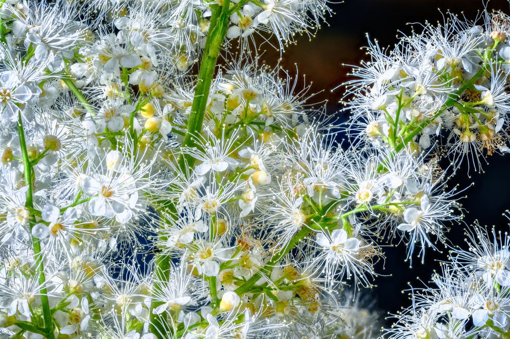 Photograph by Владимир Кваша