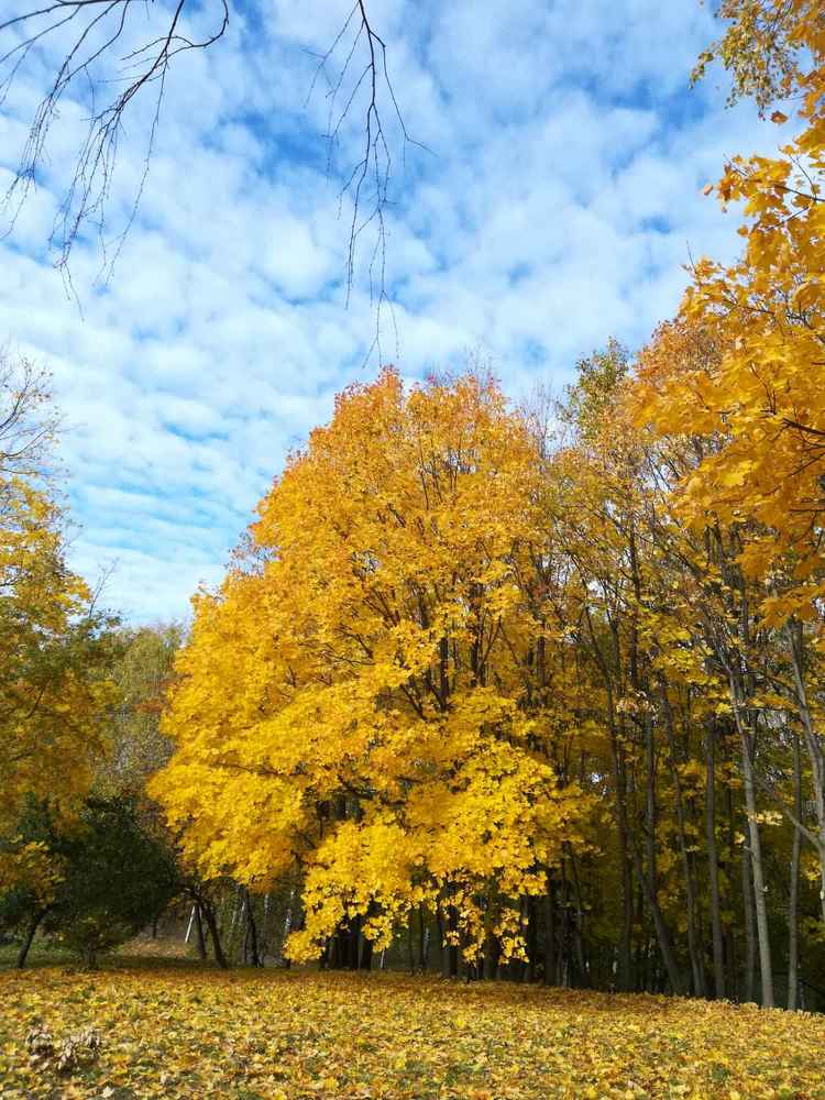 Photograph by Ольга Анисимова