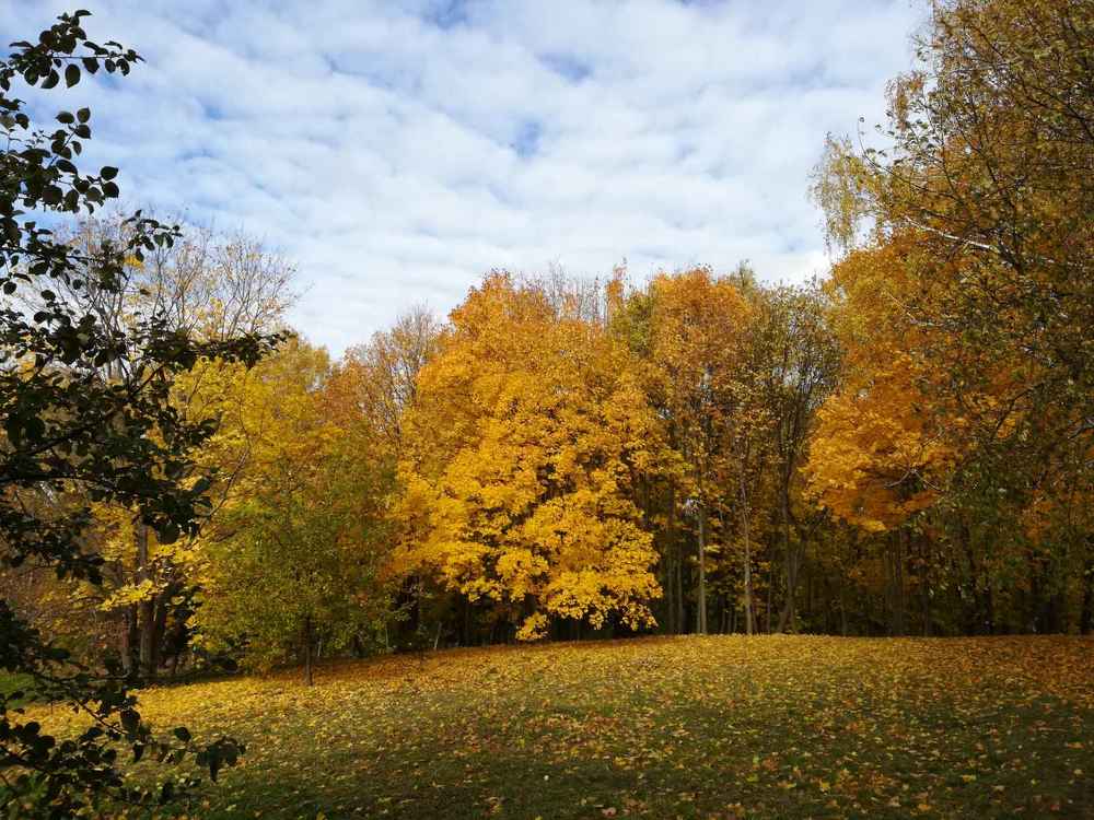 Photograph by Ольга Анисимова