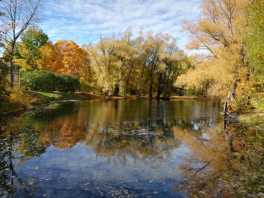 Photograph by Ольга Анисимова