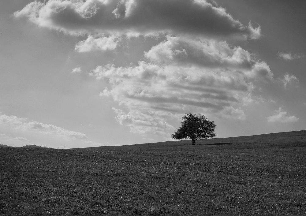 Photograph by George Vup