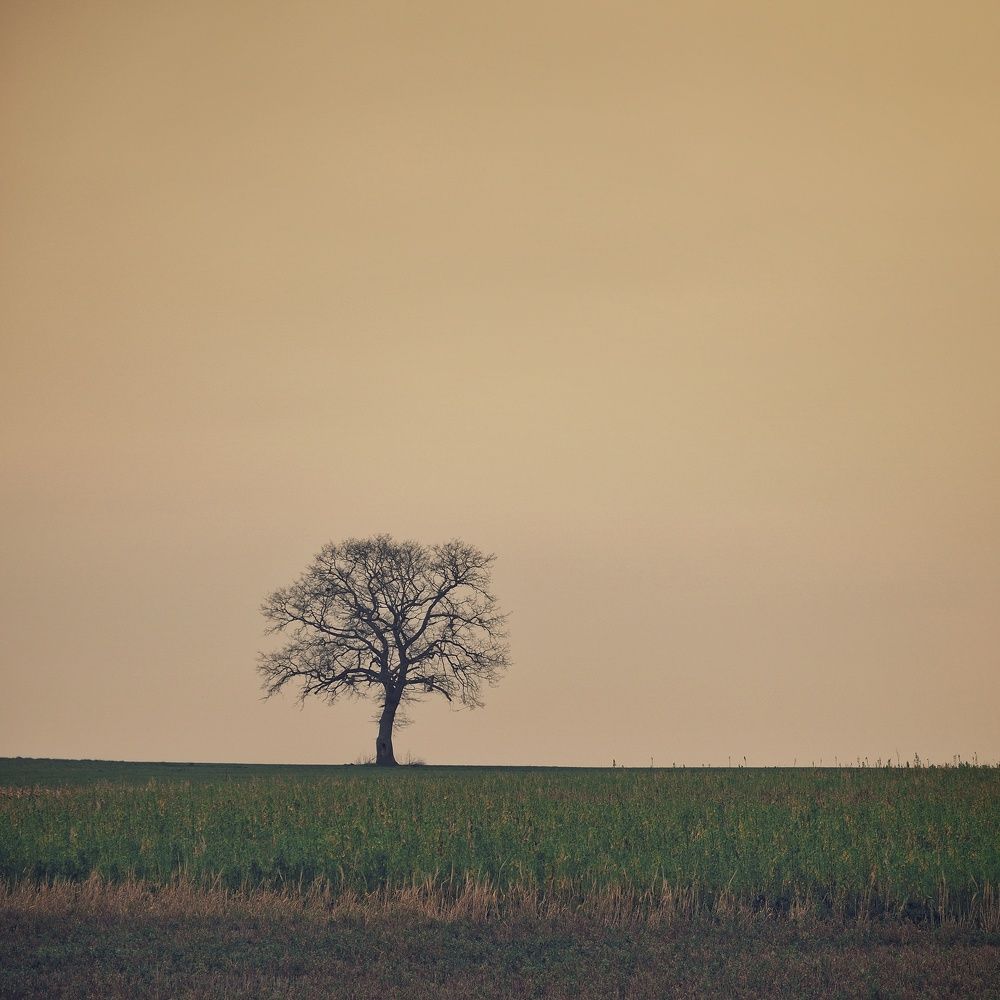 Photograph by George Vup