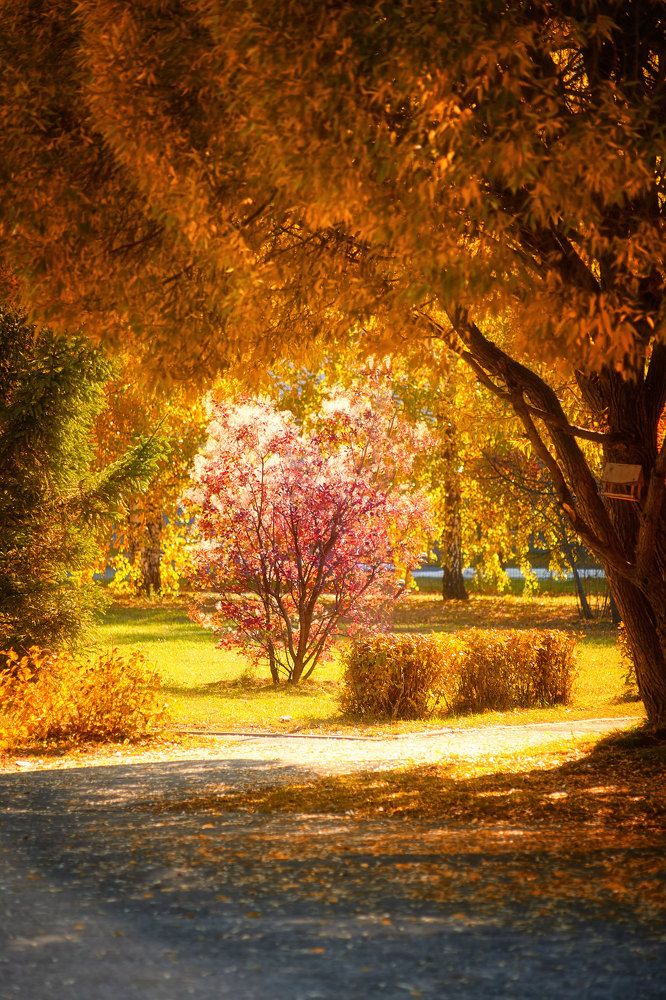 Photograph by Alexander Coin