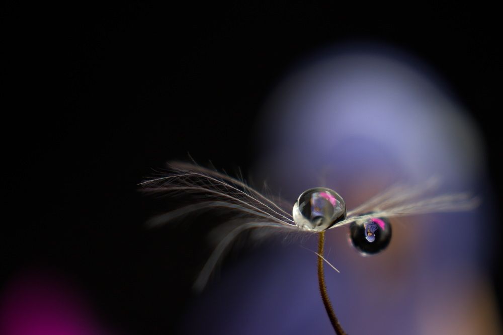 Photograph by Carla Almeida