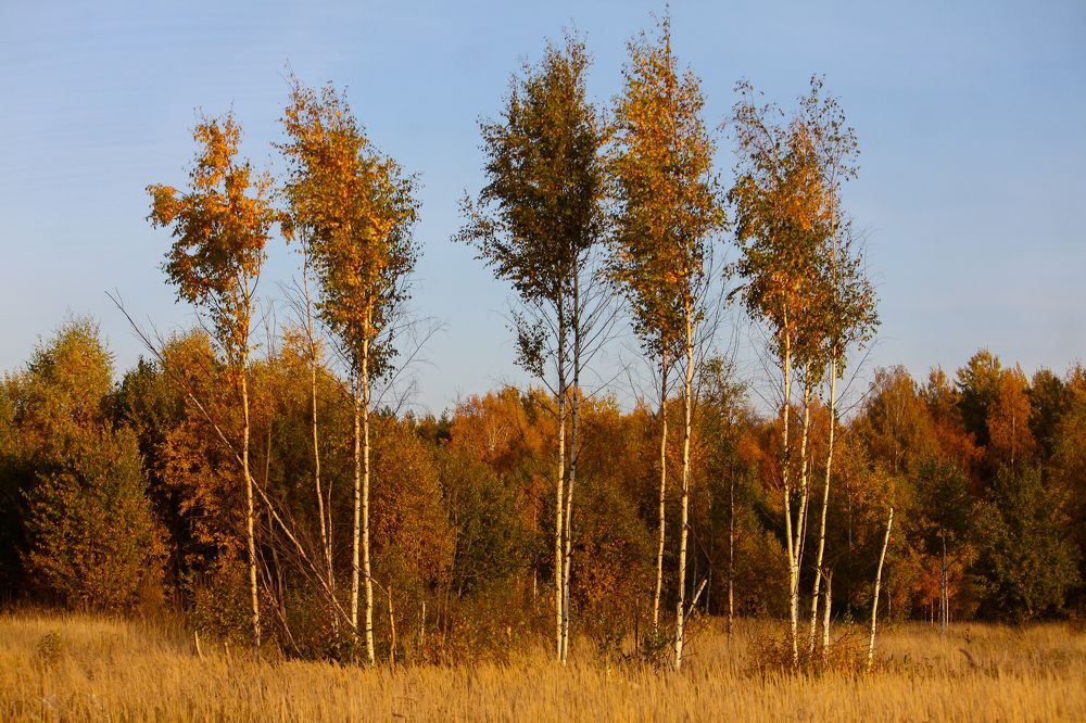 Photograph by Матвеев Денис