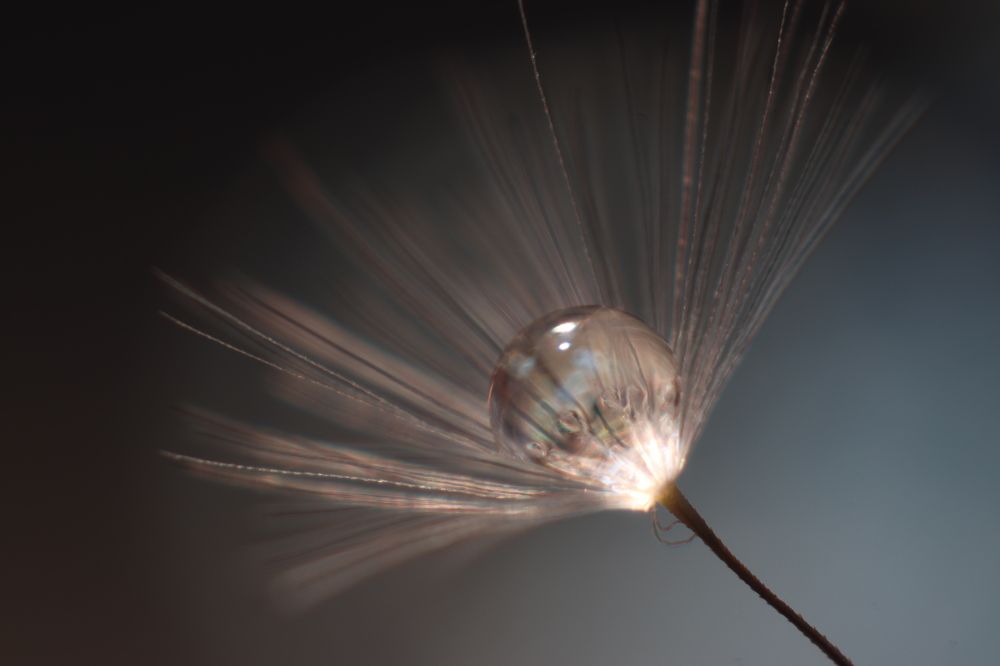 Photograph by Carla Almeida