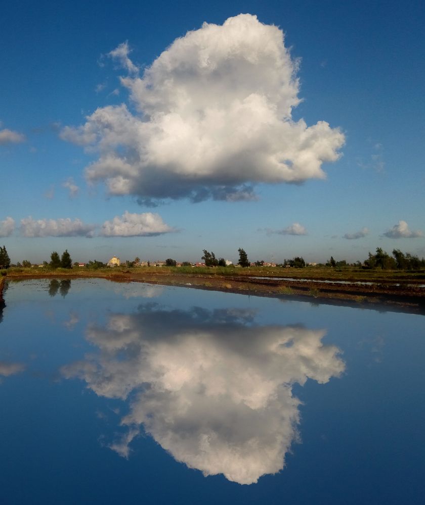 Photograph by Mahmoud Ahmed