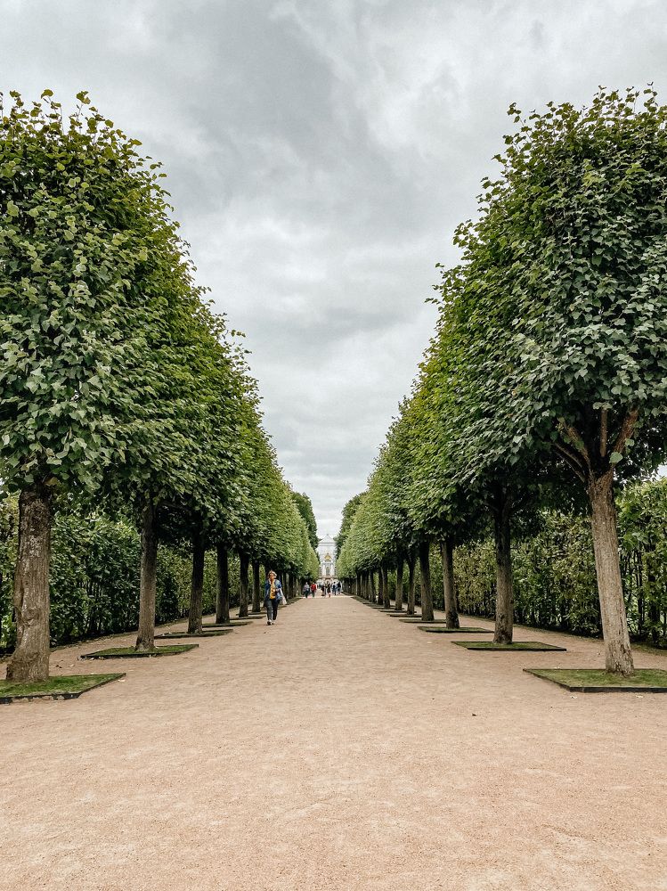 Photograph by Александр Воронов