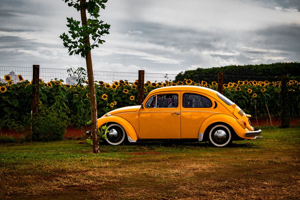 Photograph by Everton Medeiros