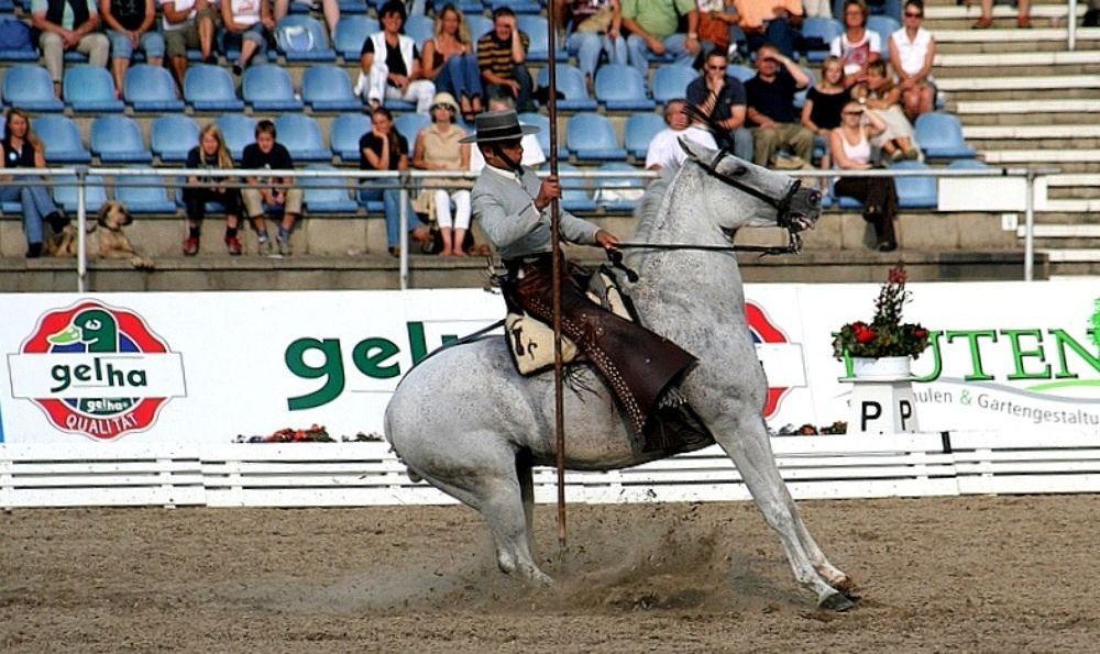 Экстренное торможение