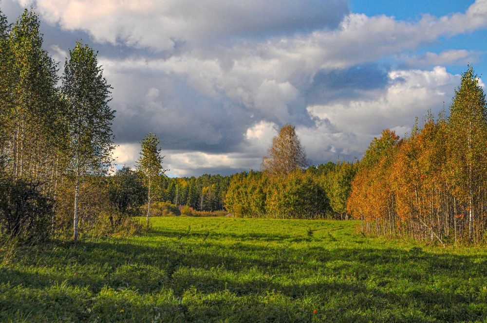 Photograph by Владимир Рандин