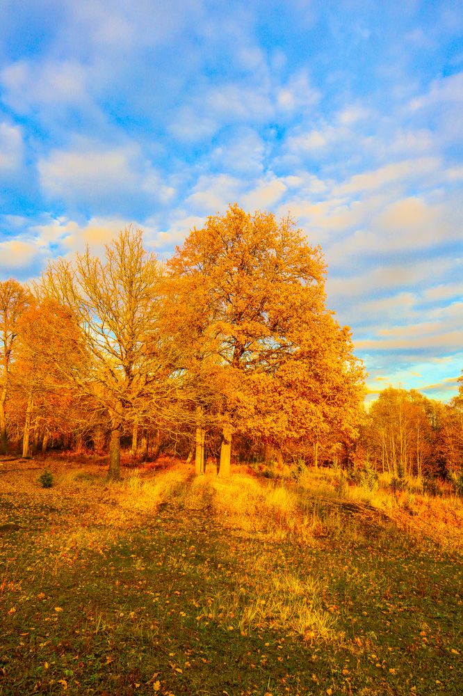 Photograph by Денис Геранькин