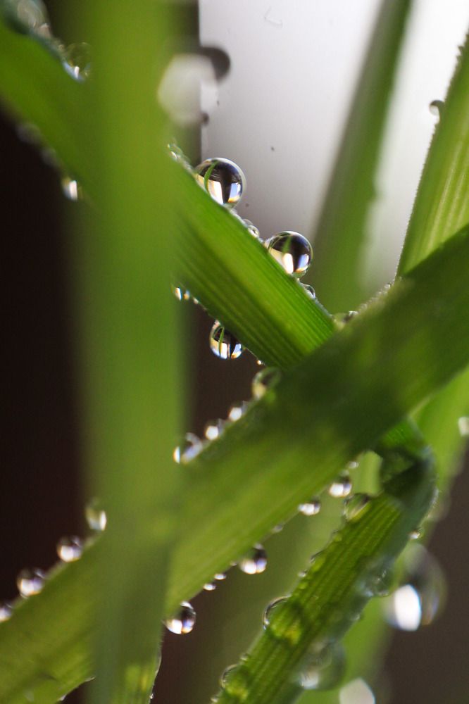 Photograph by Жанна Цветкова