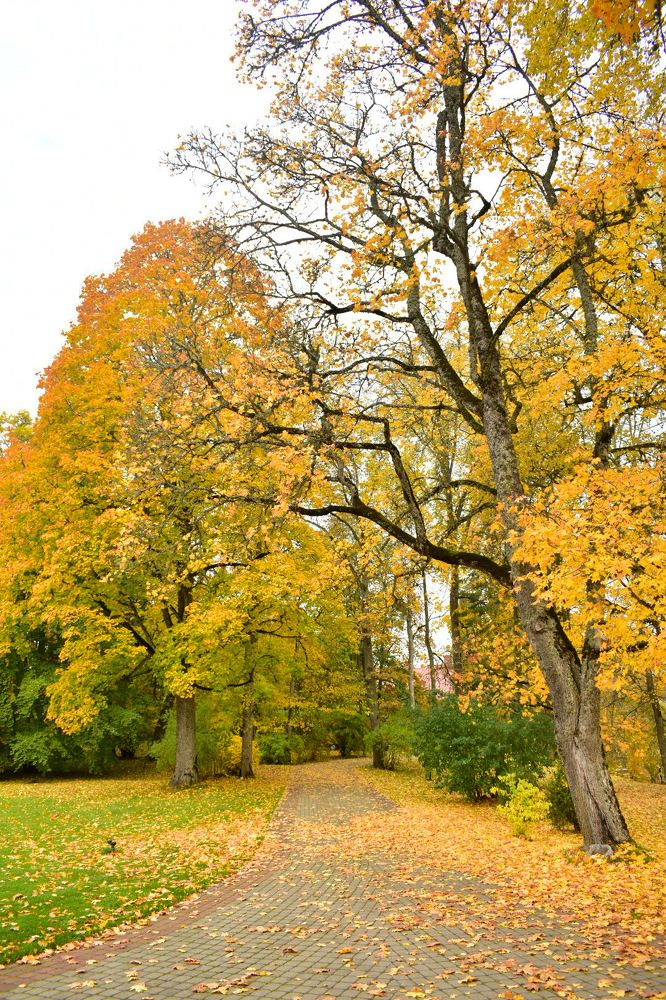 Photograph by Елена Антонова