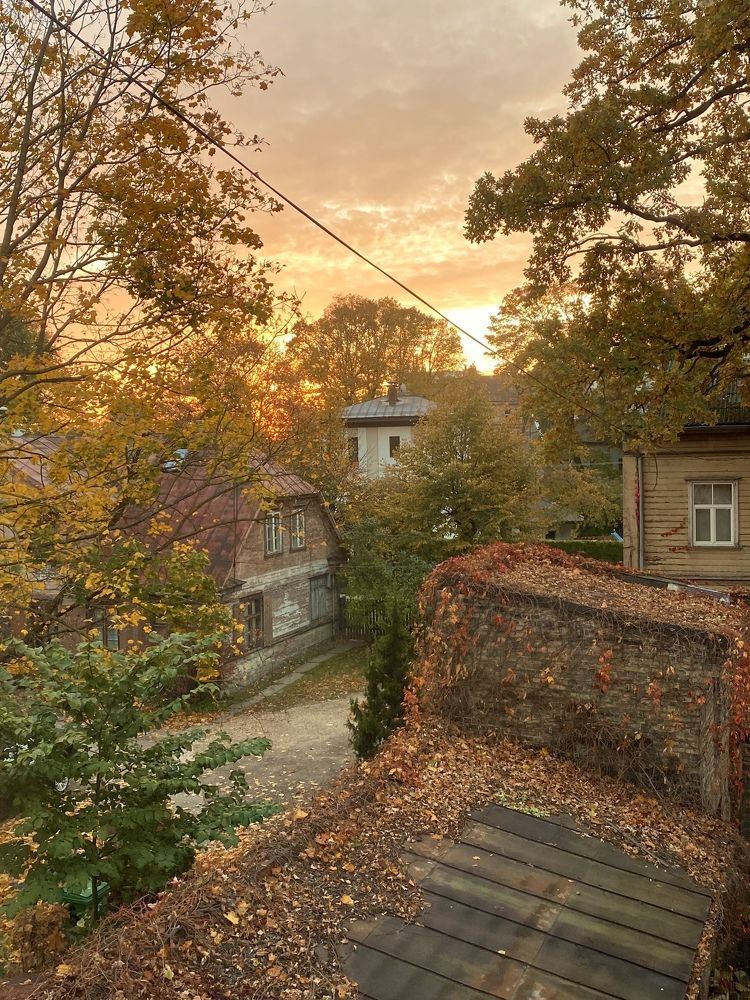 Photograph by Елена Антонова