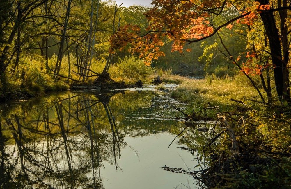 Photograph by Олег Волков