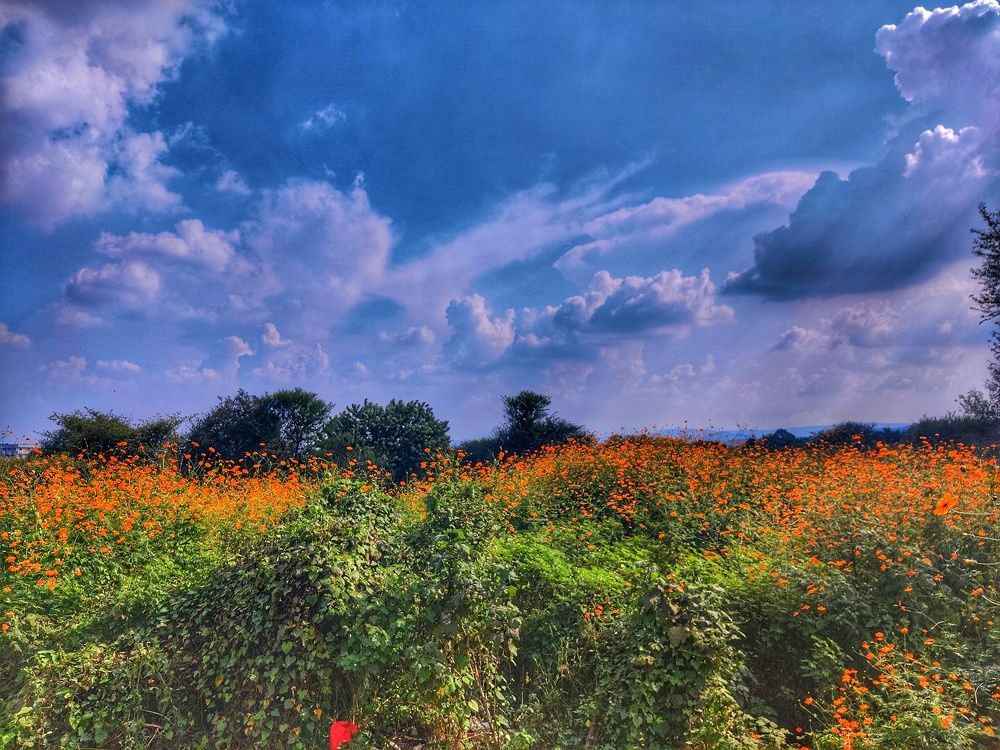 Photograph by Manoj Kumar singh