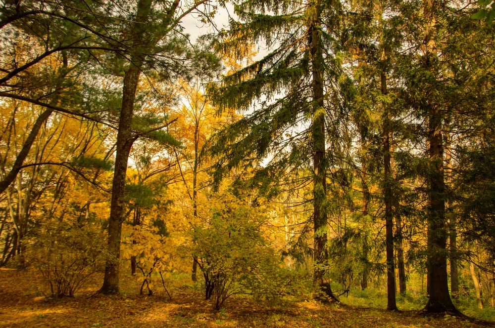 Photograph by Олег Волков