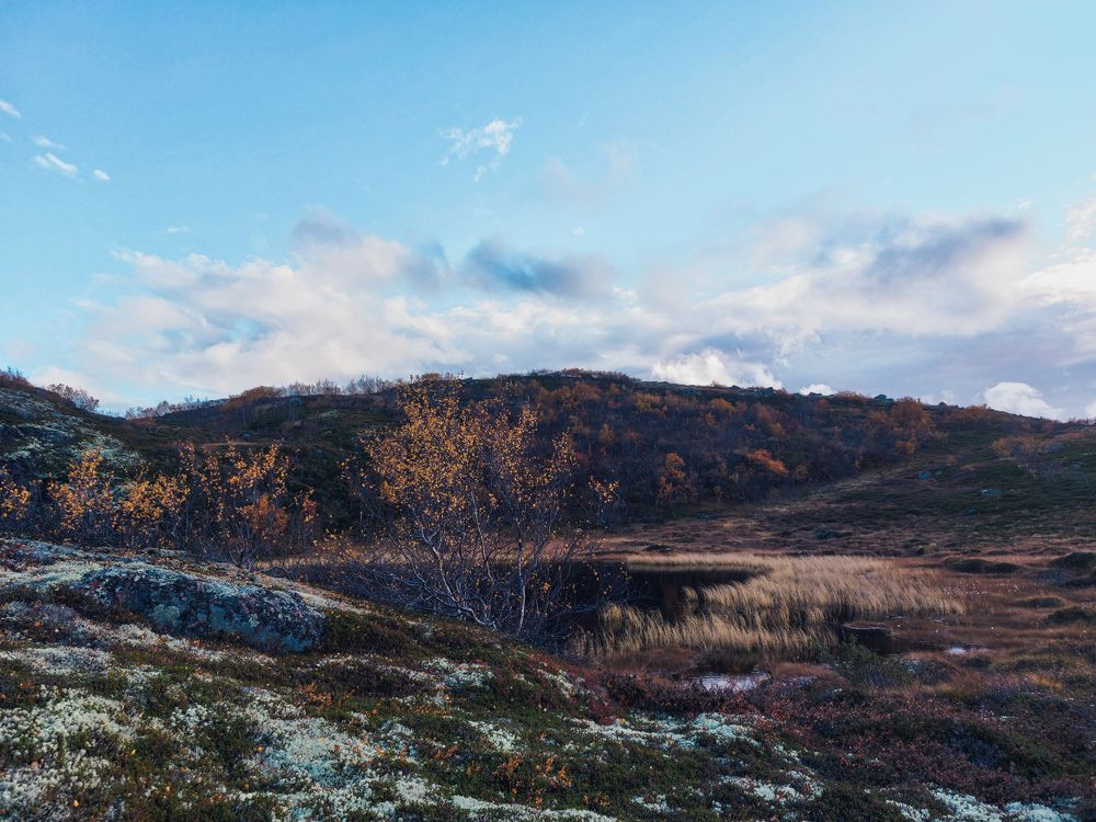 Photograph by Галина Андреева