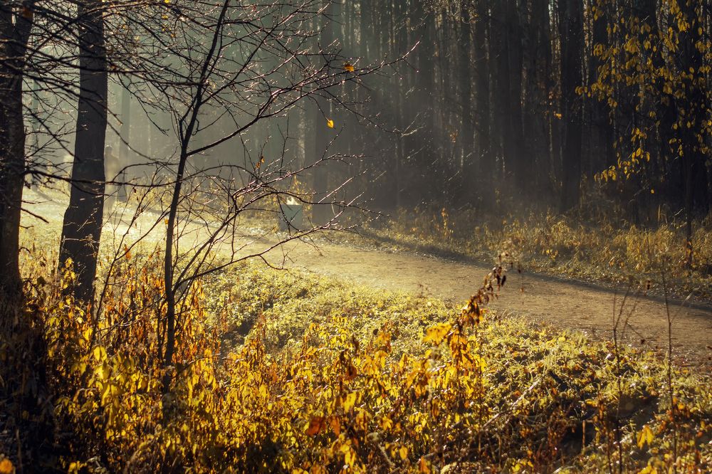 Photograph by Светлана