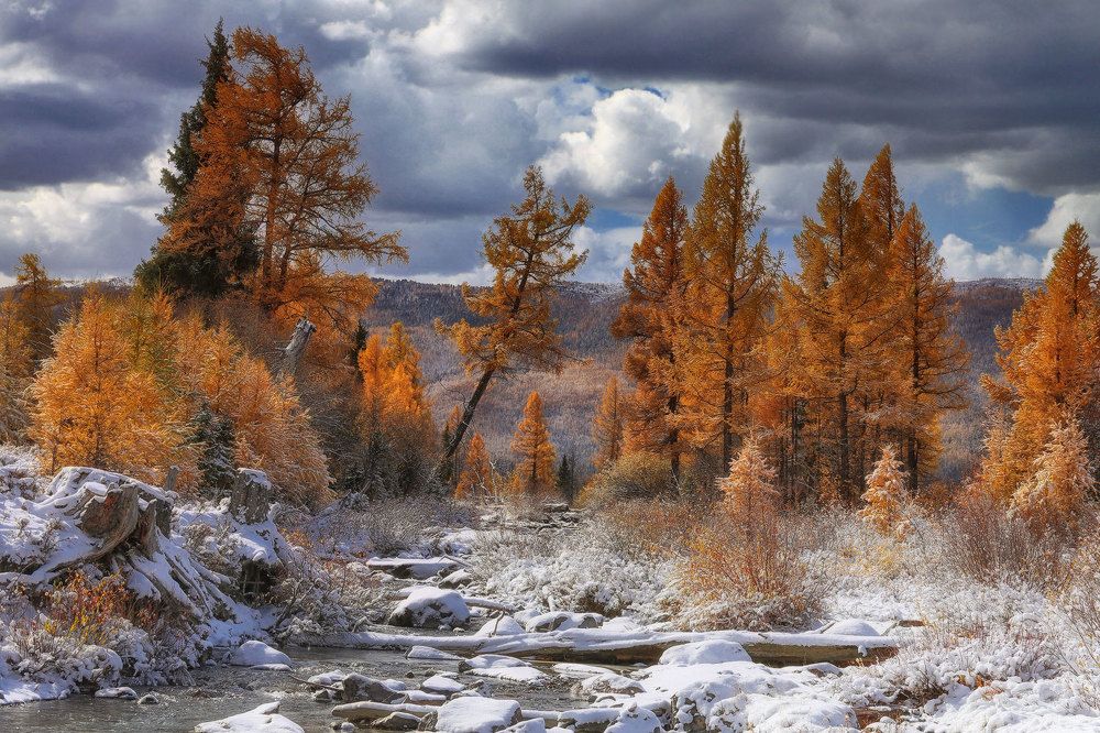 Photograph by Галина Хвостенко