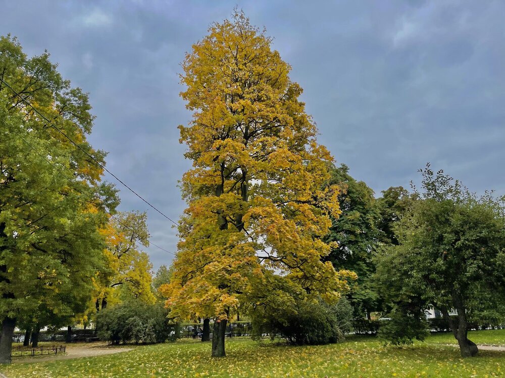 Photograph by Марина Салова