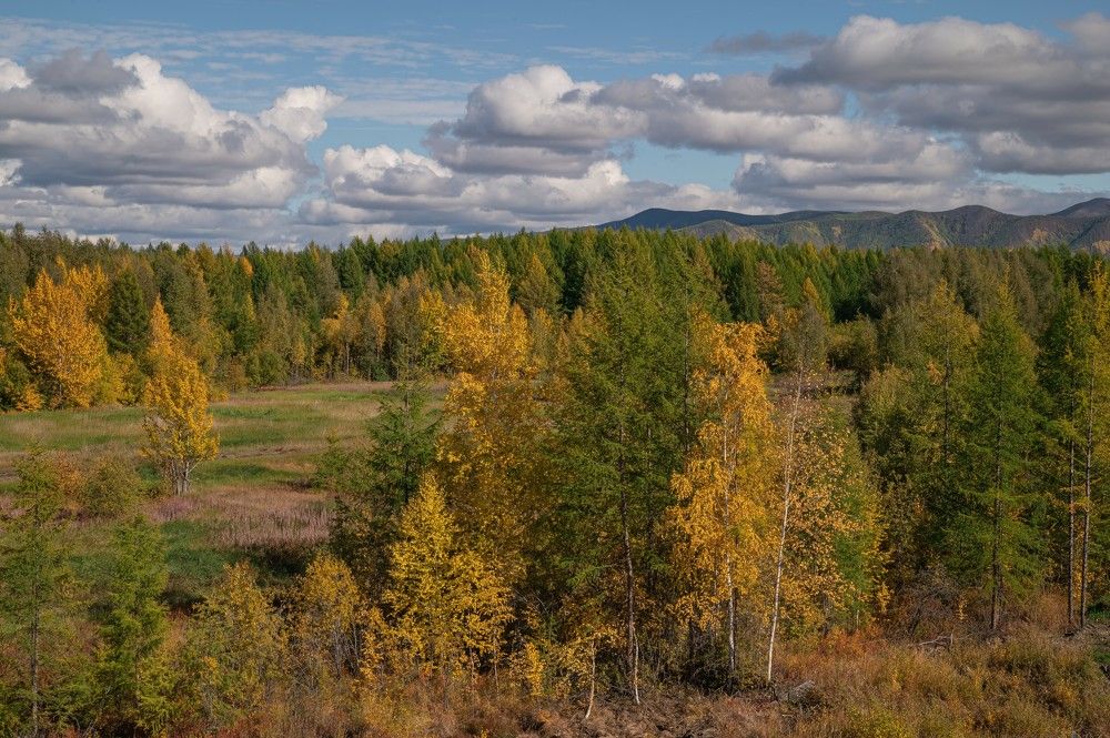 Осенний день.