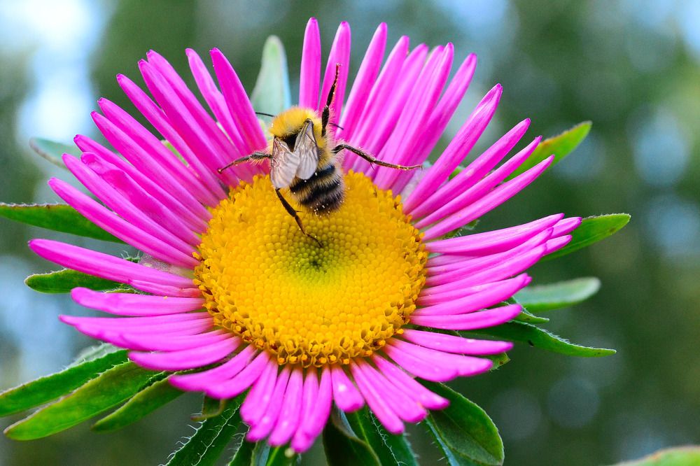 Photograph by Жанна Цветкова