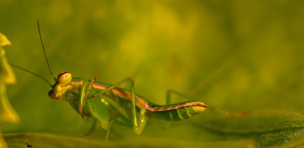 Photograph by Ramya Roy