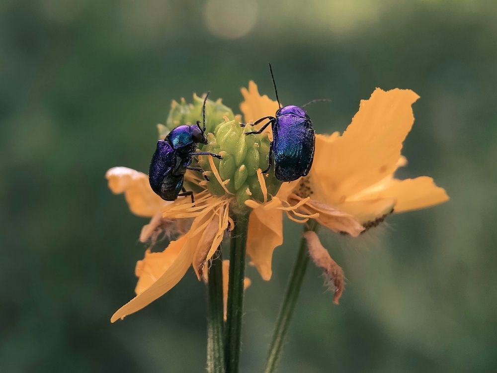 Photograph by Виолетта Афанасьева