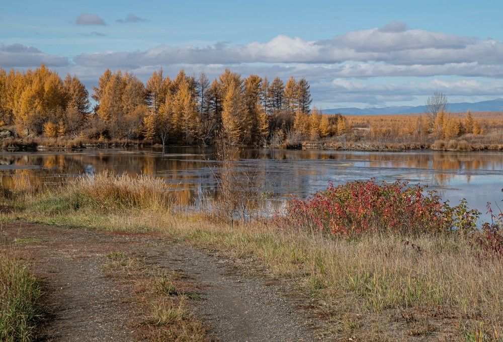 Поздняя осень.
