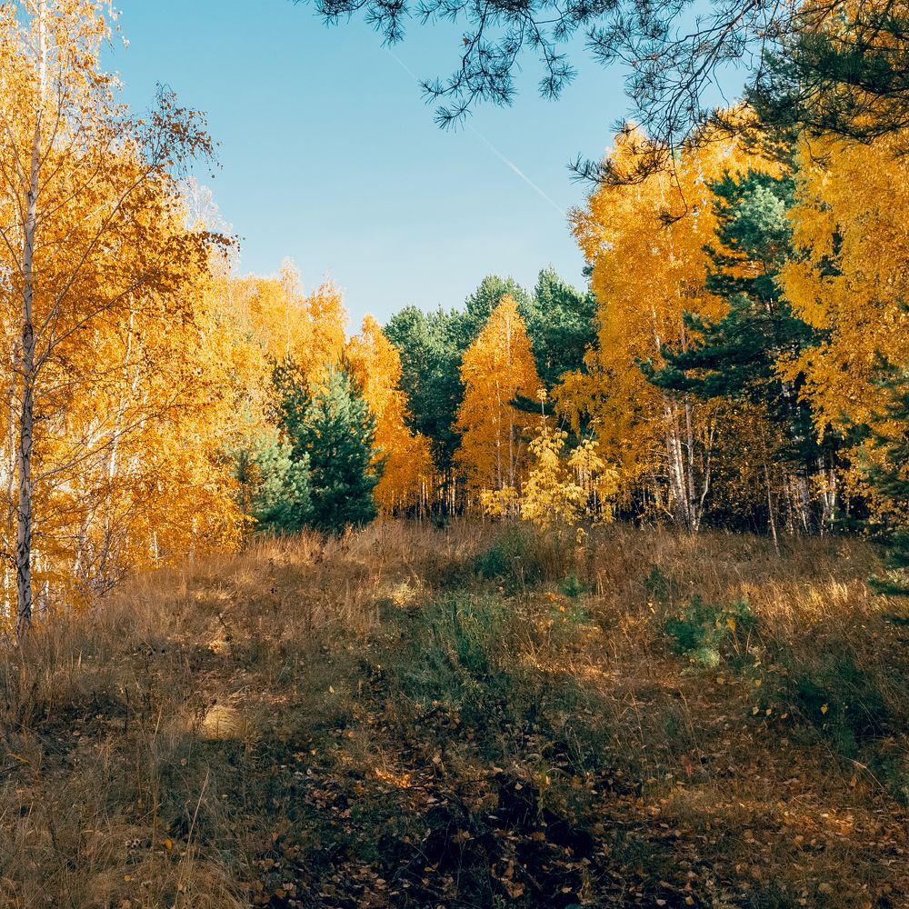 Photograph by Виталий Сидельцев