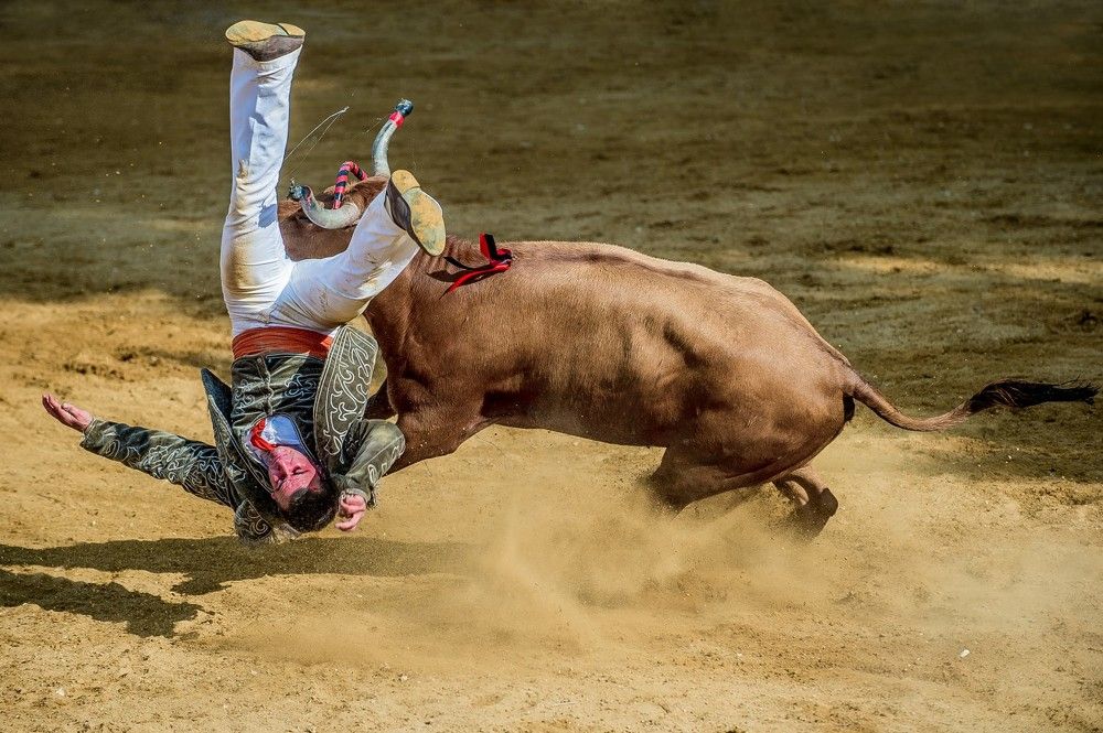 Photograph by eric tkindt