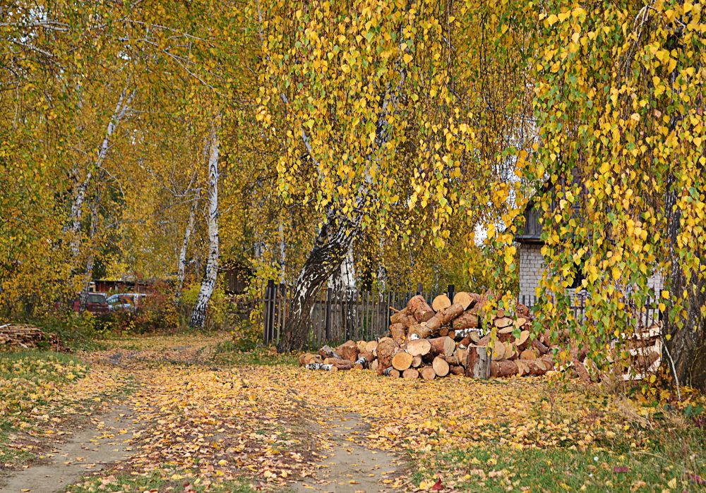 Photograph by Наталья Лещинская