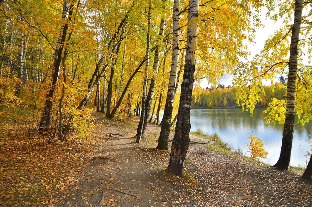 Фотография автора Клавдия Васильева