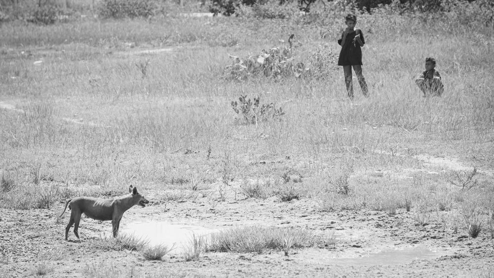 Photograph by Kaily Jane