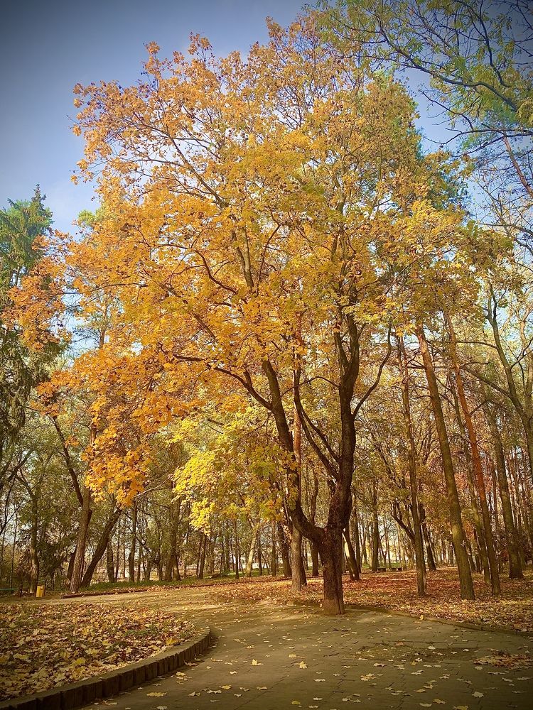 Photograph by Николай Курочкин