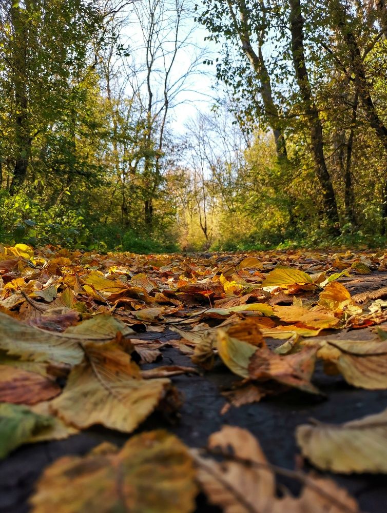 Photograph by Владимир Прорешный