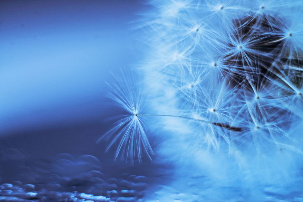 Photograph by Наталья Лещинская